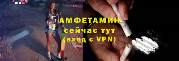 шишки Ветлуга
