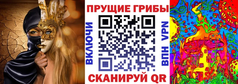 МЕГА   Окуловка  Псилоцибиновые грибы ЛСД 